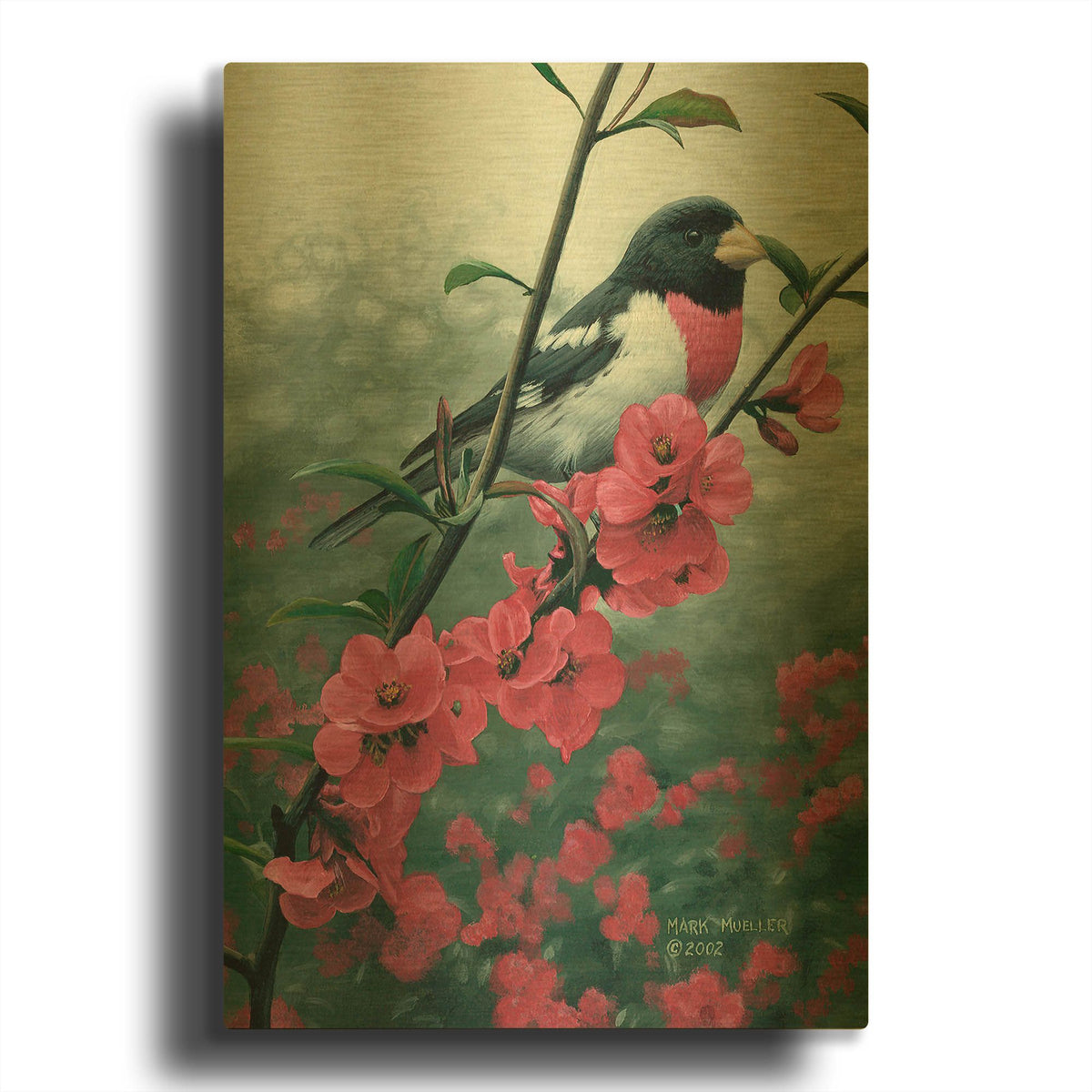 'Spring - Rose-breasted Grosbeak' By Mark Mueller Wildlife Art Gold Metal Wall Art