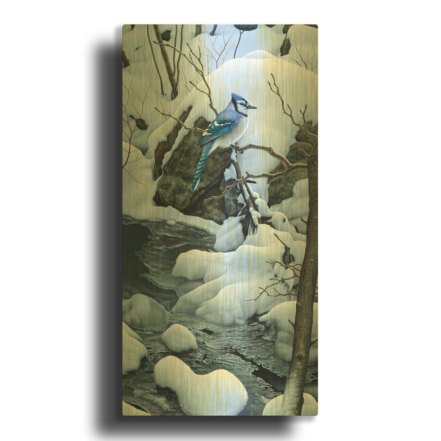 'Tranquil Morning - Blue Jay' By Mark Mueller Wildlife Art Gold Metal Wall Art