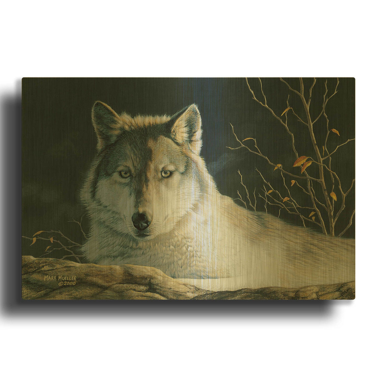 'Watchful Eyes - Gray Wolf' By Mark Mueller Wildlife Art Gold Metal Wall Art