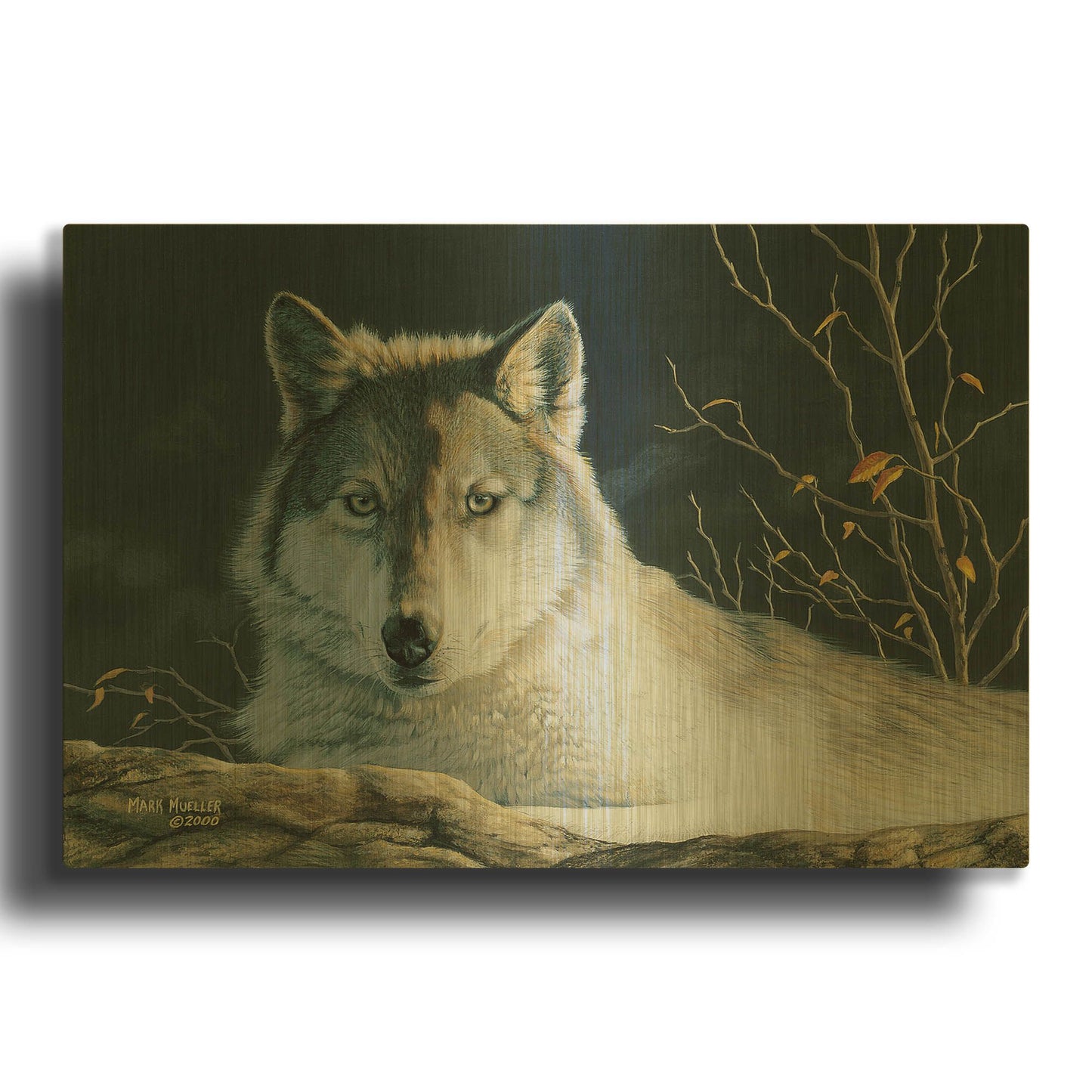 'Watchful Eyes - Gray Wolf' By Mark Mueller Wildlife Art Gold Metal Wall Art