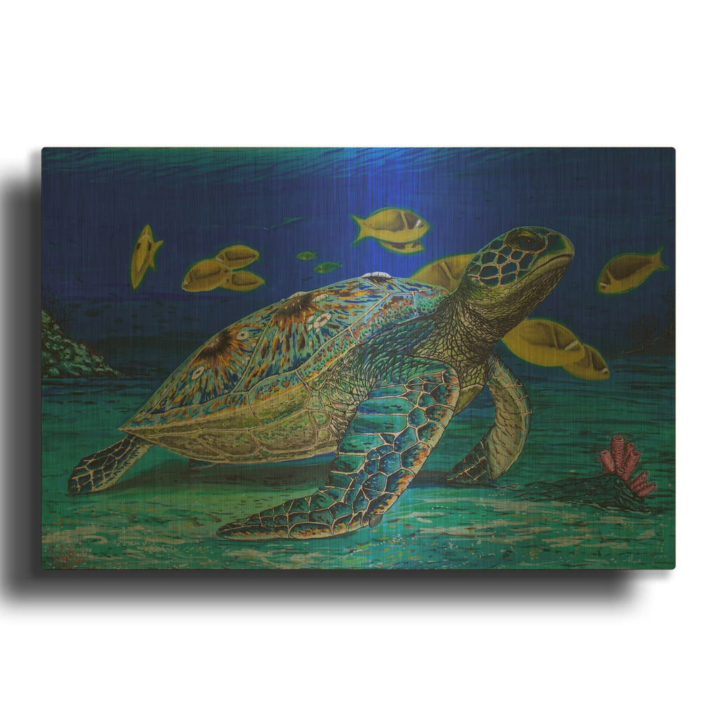 'Turtle Tale' By Martin Nasim Gold Metal Wall Art