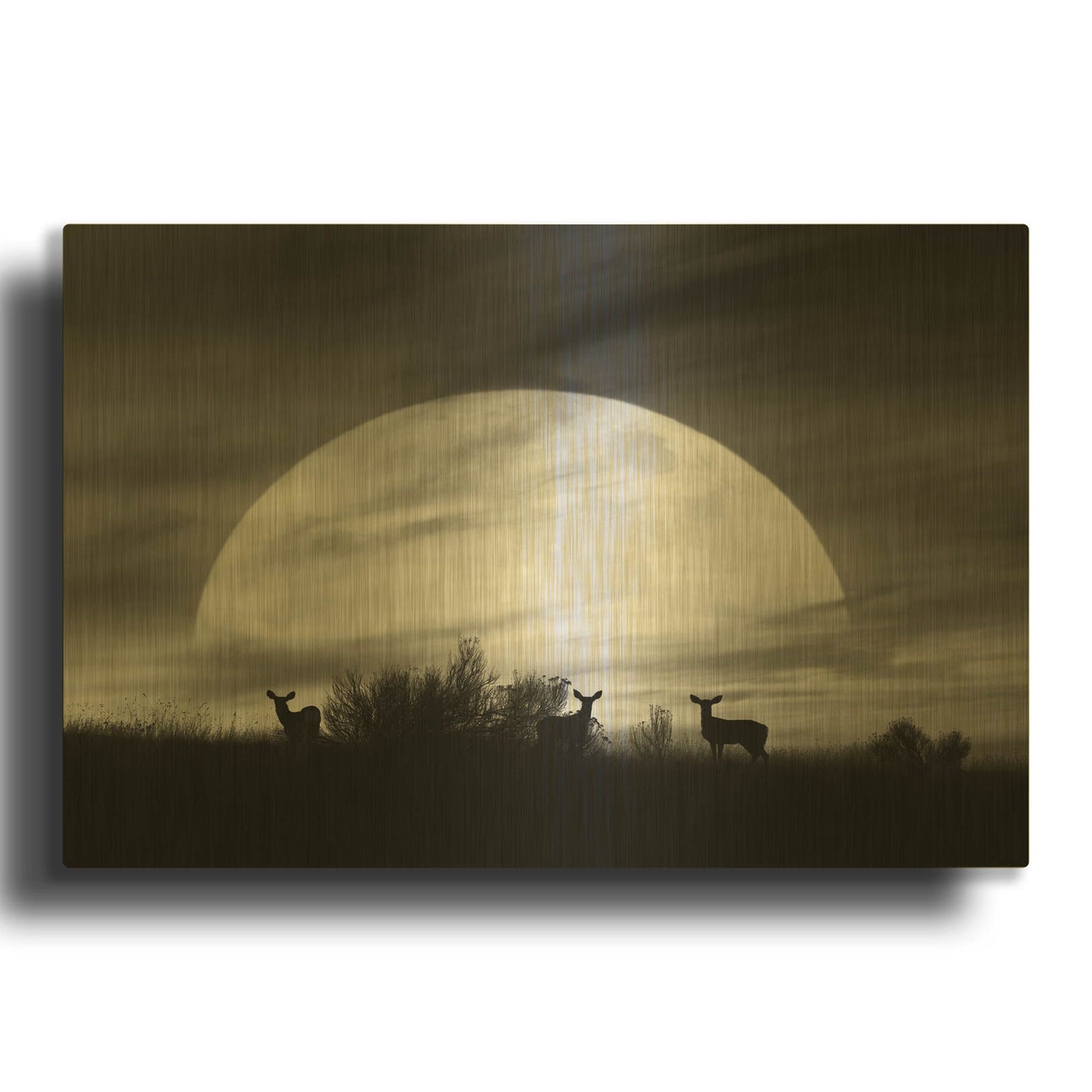 'Moonlight Silhouette, Farmington Hills, Michigan 12' By Monte Nagler Gold Metal Wall Art