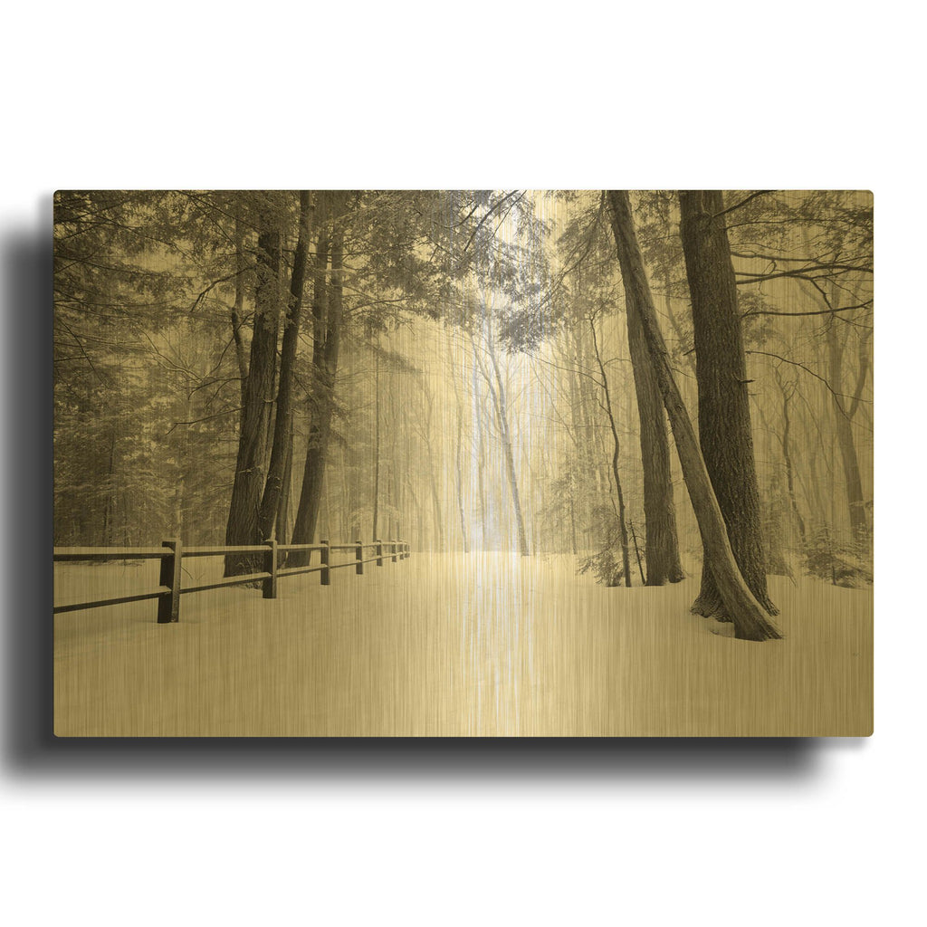 'Winter' By Monte Nagler Gold Metal Wall Art