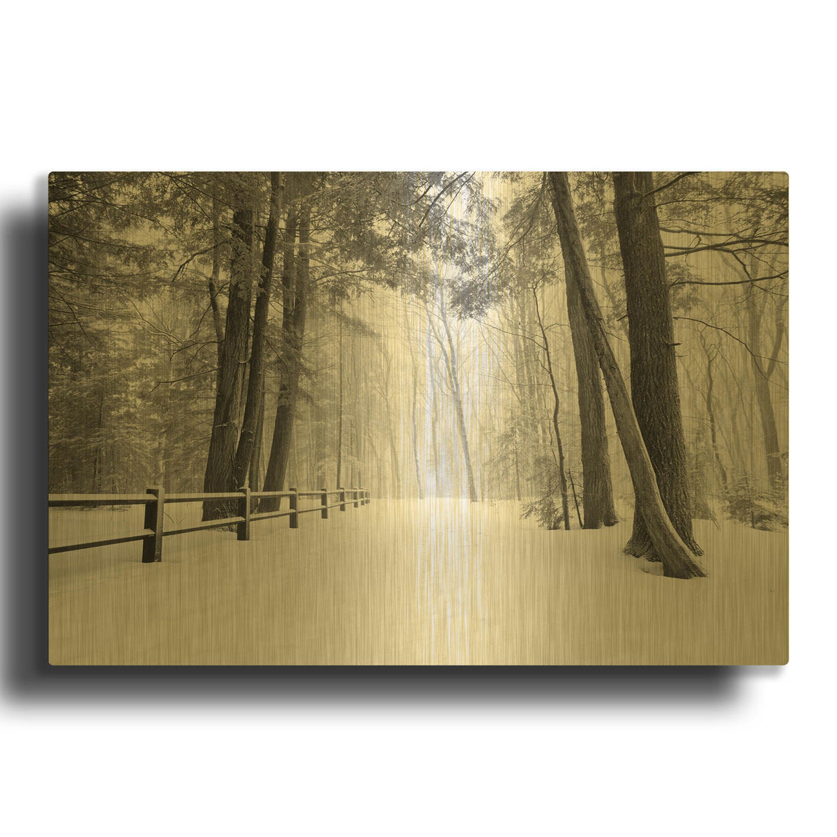 'Winter' By Monte Nagler Gold Metal Wall Art