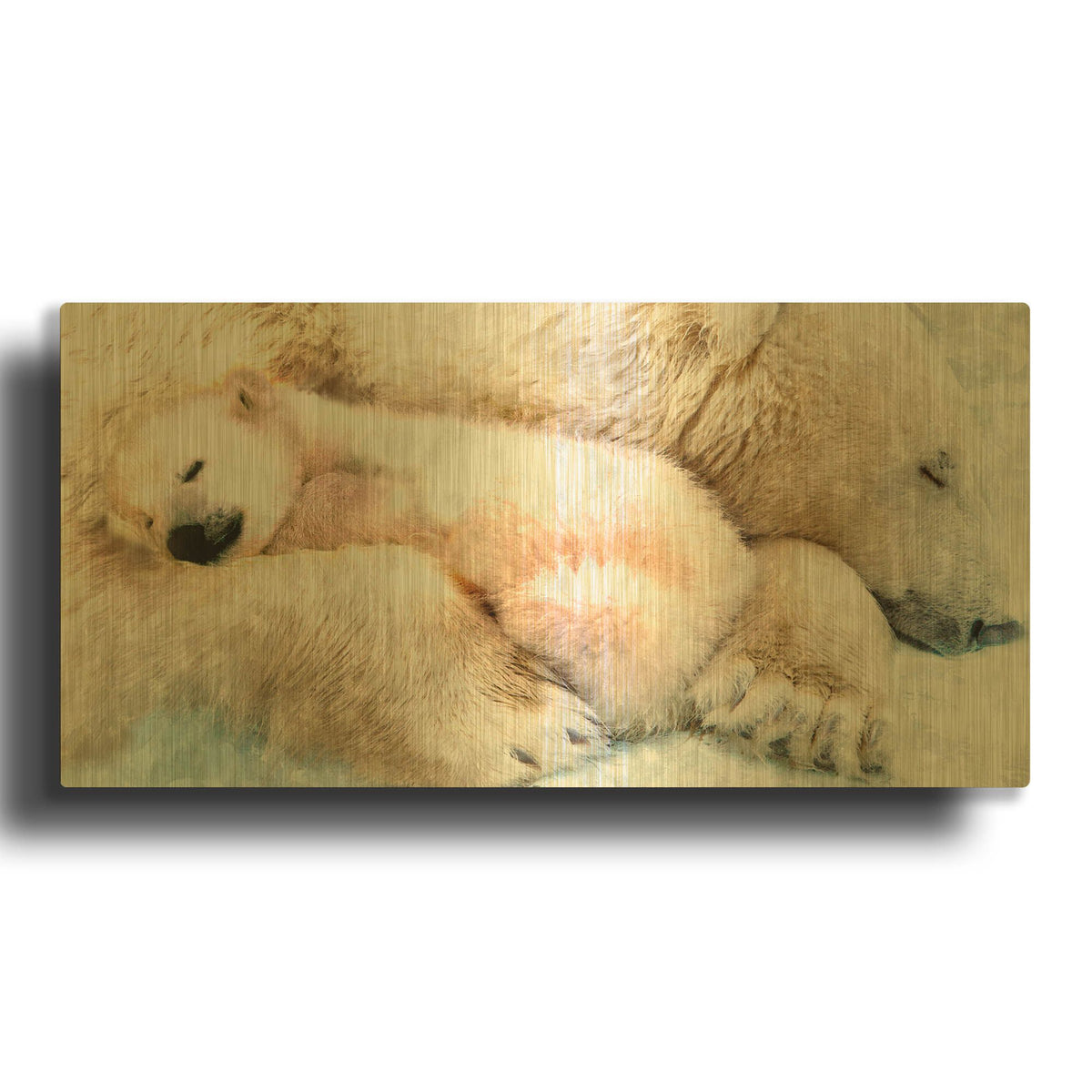 'Sleepy Polar' By Murray Henderson Fine Art Gold Metal Wall Art