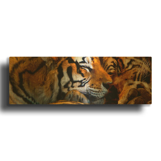 'Tigers Sleep' By Murray Henderson Fine Art Gold Metal Wall Art