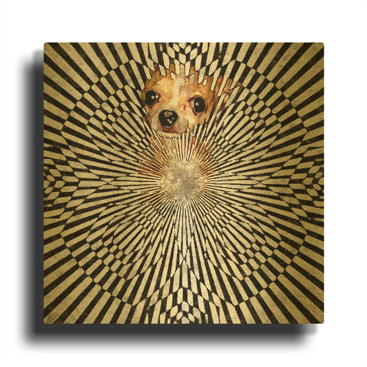 'Chiwhat The' By Murray Henderson Fine Art Gold Metal Wall Art