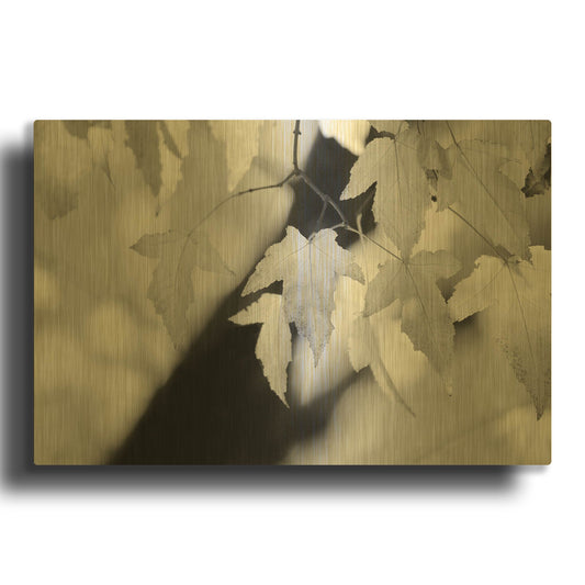 'Leaves and Light' By Nicholas Bell Photography Gold Metal Wall Art