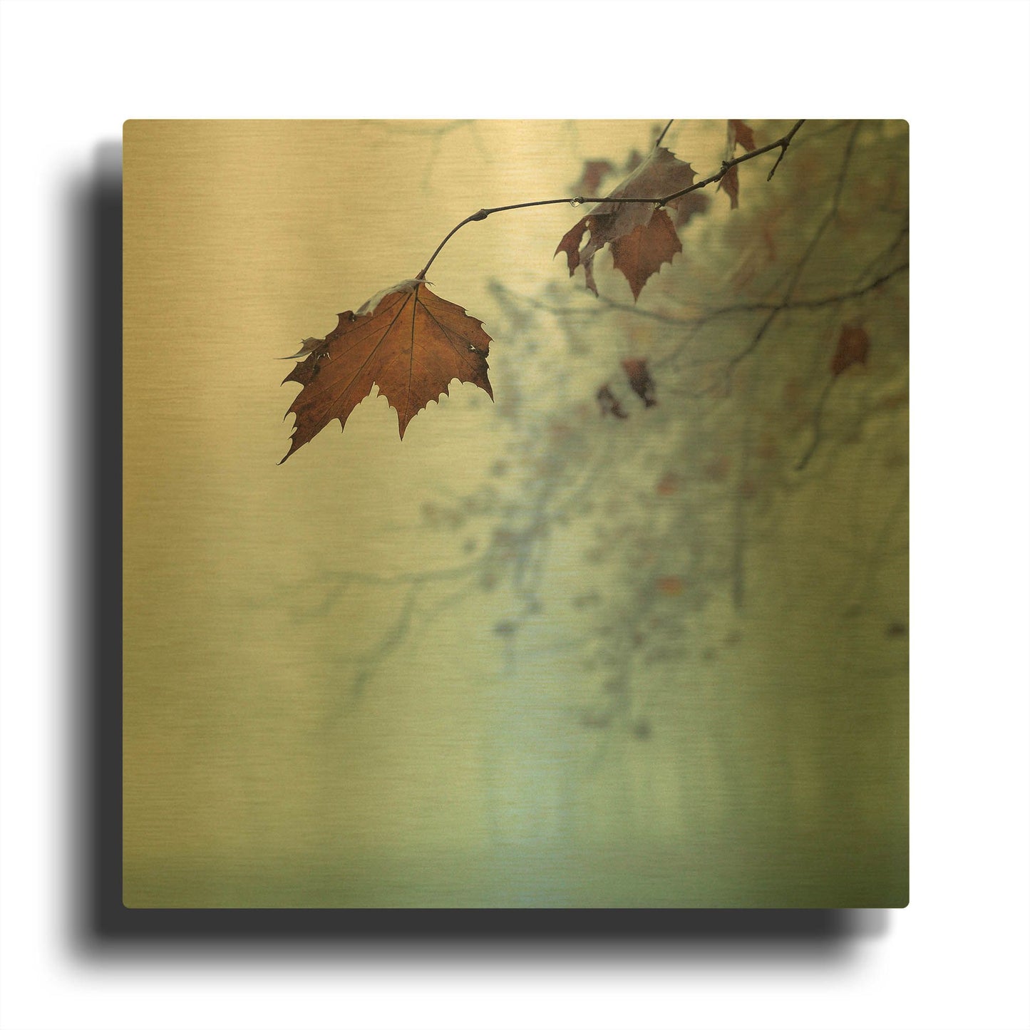'November' By Nicholas Bell Photography Gold Metal Wall Art