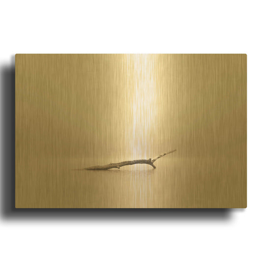'Still' By Nicholas Bell Photography Gold Metal Wall Art