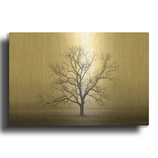 'Velvet Sunrise' By Nicholas Bell Photography Gold Metal Wall Art