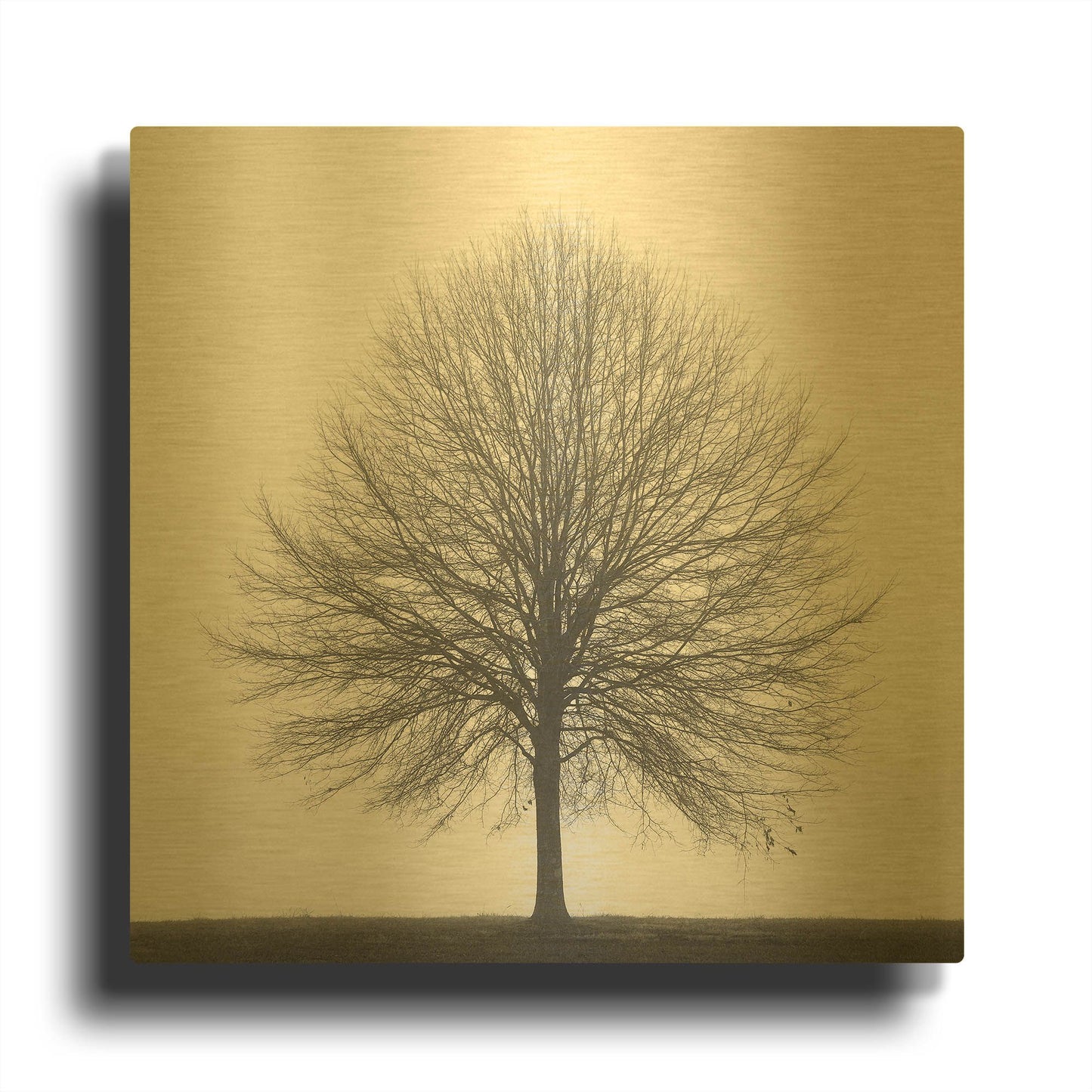 'Winter Trio I' By Nicholas Bell Photography Gold Metal Wall Art