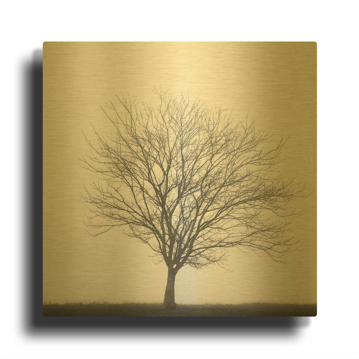 'Winter Trio II' By Nicholas Bell Photography Gold Metal Wall Art