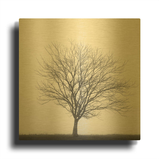 'Winter Trio II' By Nicholas Bell Photography Gold Metal Wall Art