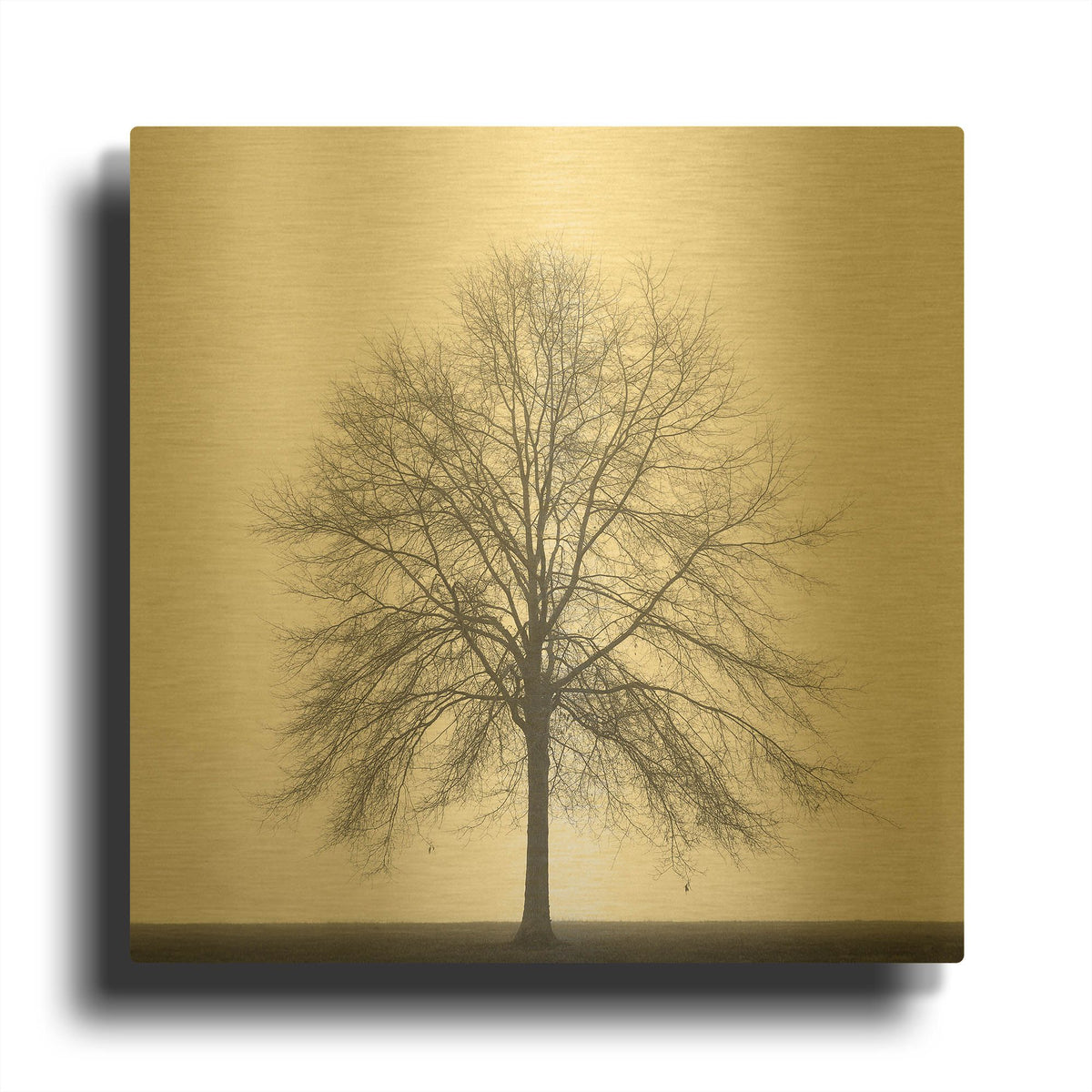 'Winter Trio III' By Nicholas Bell Photography Gold Metal Wall Art
