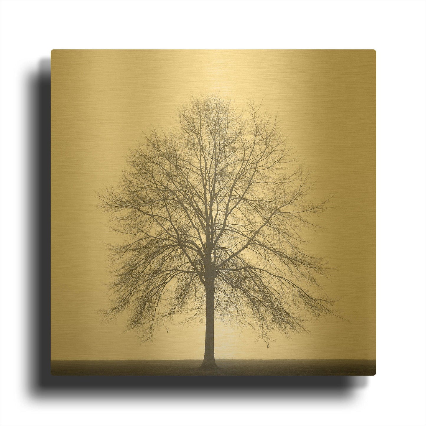 'Winter Trio III' By Nicholas Bell Photography Gold Metal Wall Art