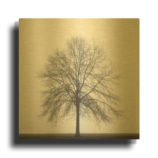 'Winter Trio III' By Nicholas Bell Photography Gold Metal Wall Art