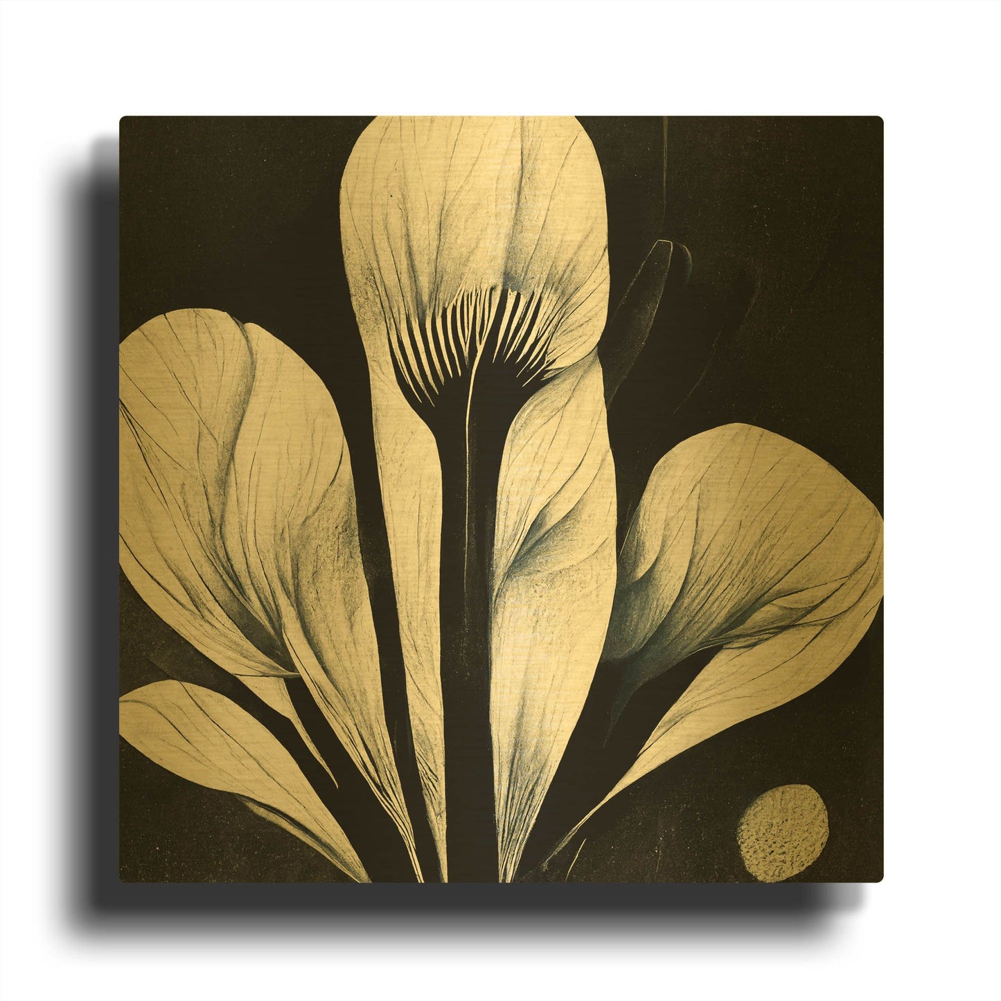 'Flowers Black White 13' By Ray Heere Gold Metal Wall Art