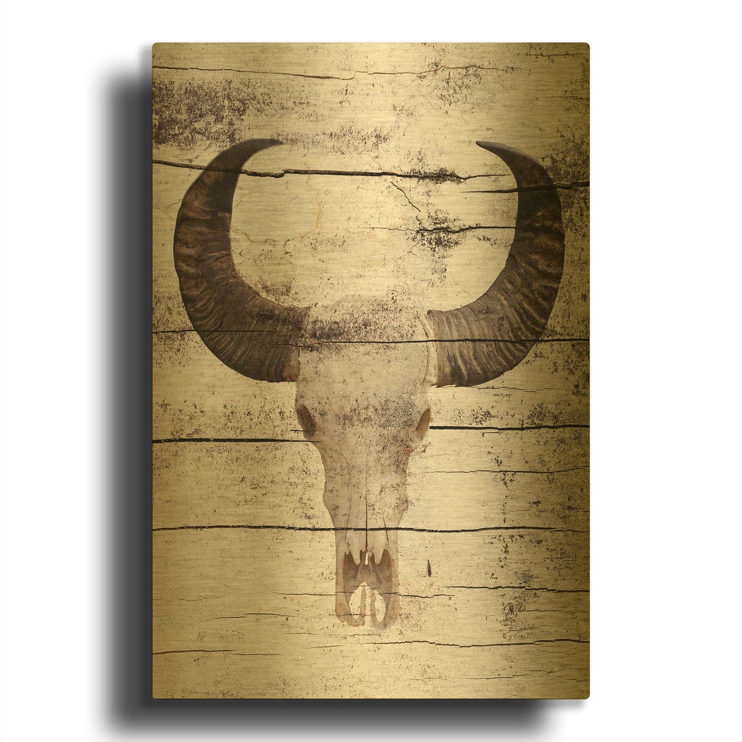 'Bullock Skull' By Irena Orlov Gold Metal Wall Art