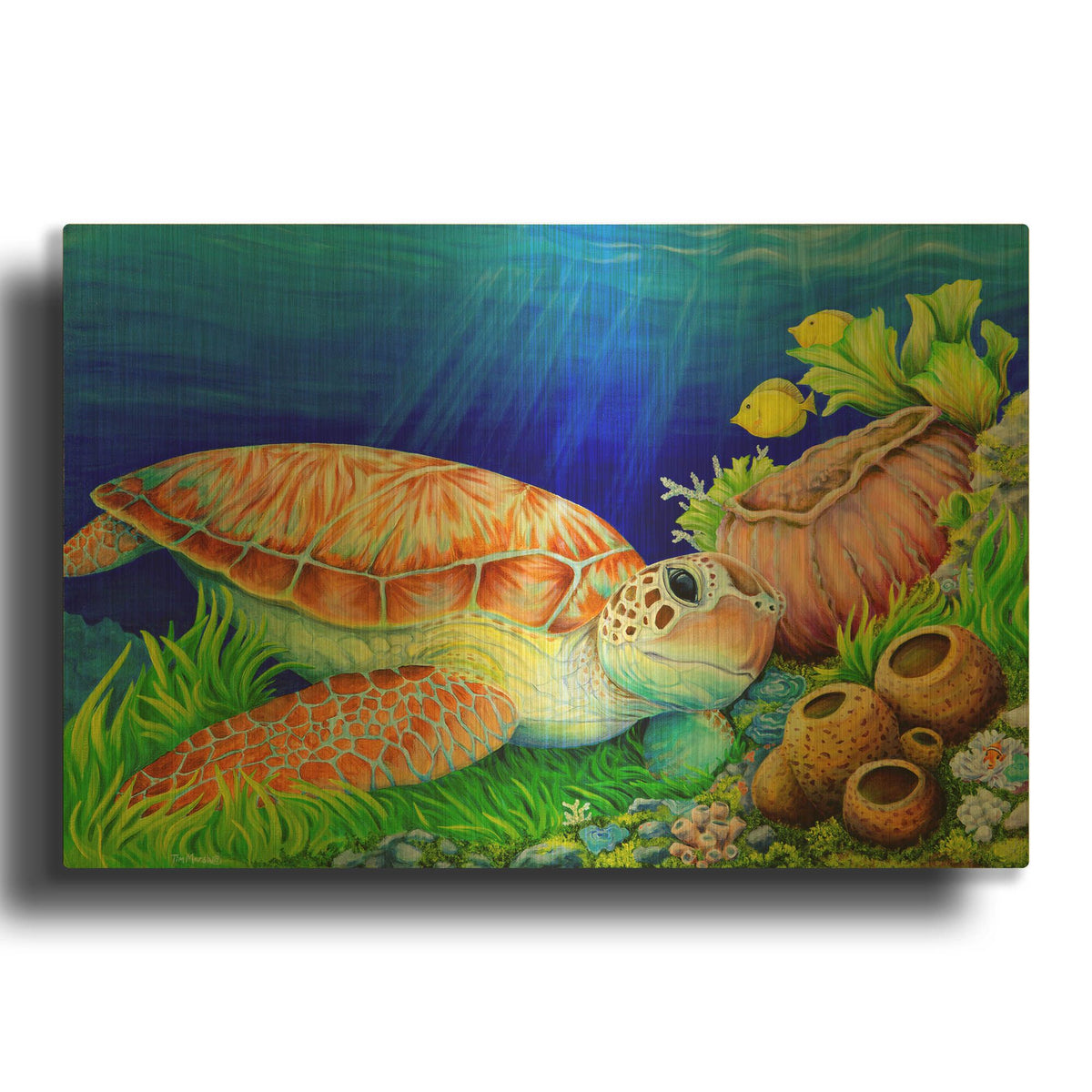 'Escape to Molokini' By Tim Marsh Gold Metal Wall Art