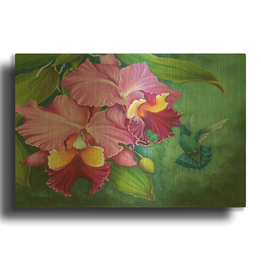 'Gree Violet Eared Humming Bird' By Tim Marsh Gold Metal Wall Art