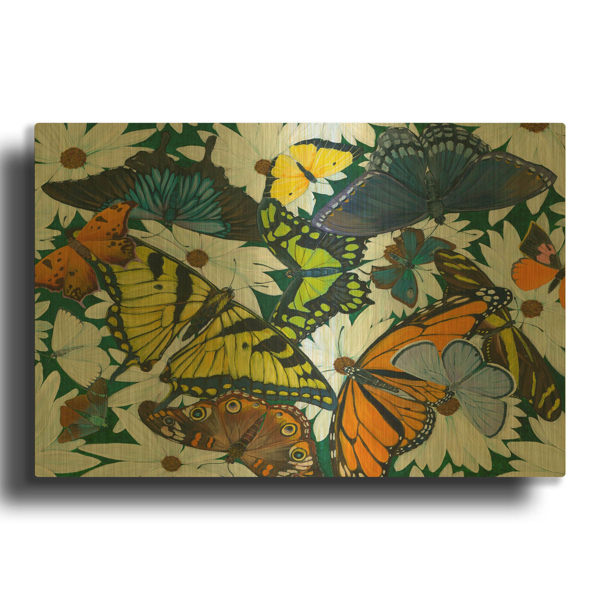 'Butterfly Collage' By Tim Marsh Gold Metal Wall Art