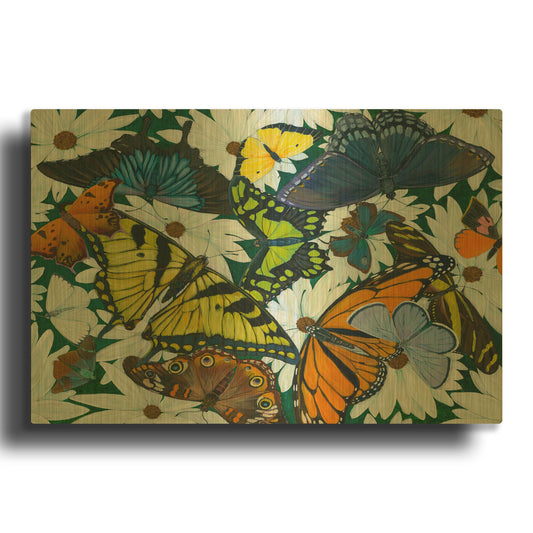 'Butterfly Collage' By Tim Marsh Gold Metal Wall Art