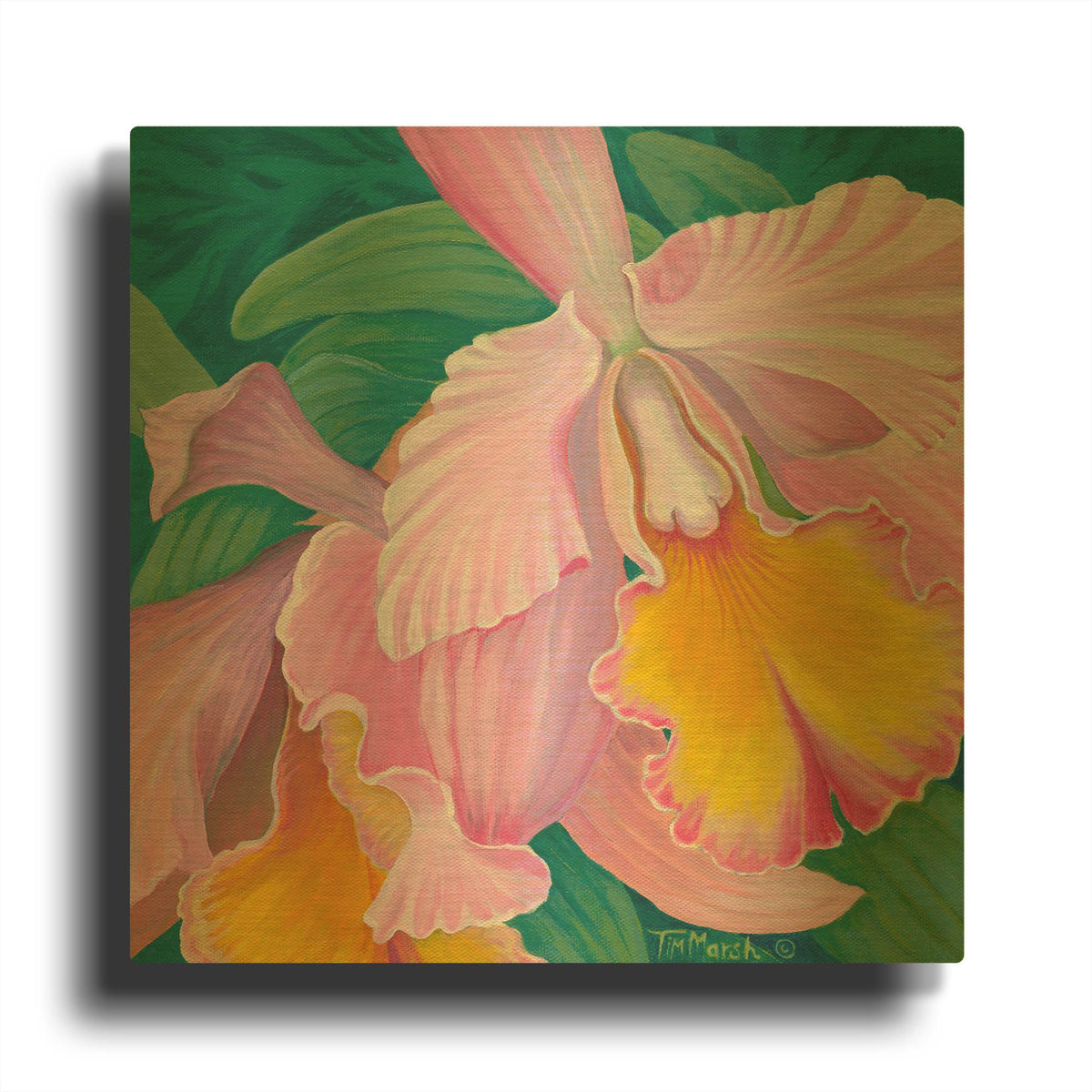 'Orchid Series 4' By Tim Marsh Gold Metal Wall Art