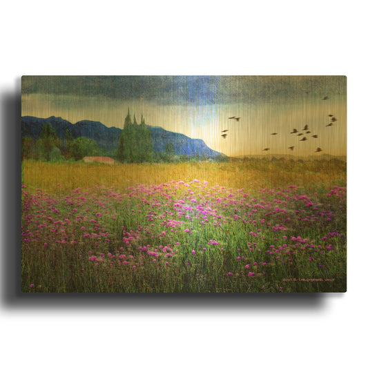 'Mesa Verde and knapweed' By Chris Vest Gold Metal Wall Art