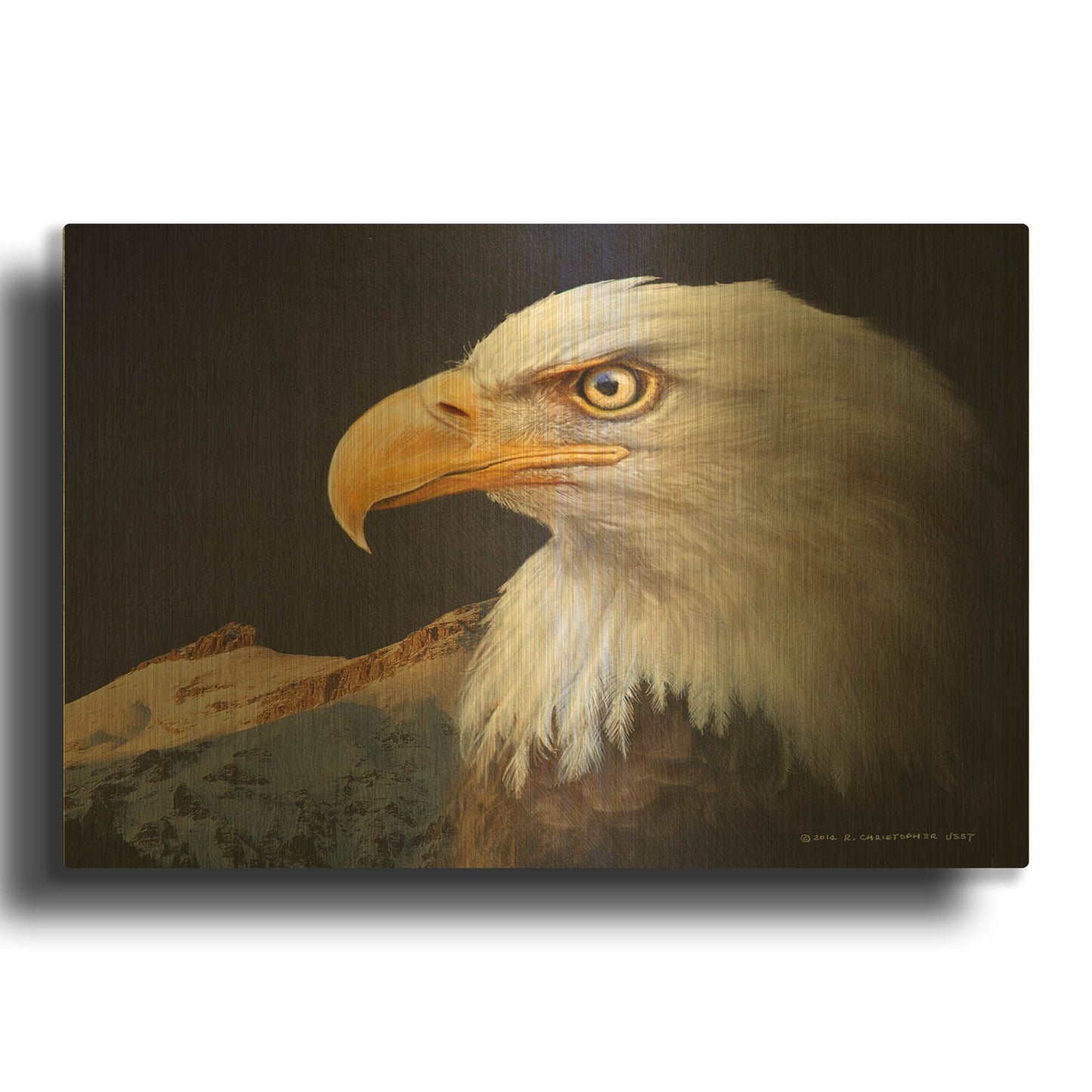 'Bald Eagle Study' By Chris Vest Gold Metal Wall Art