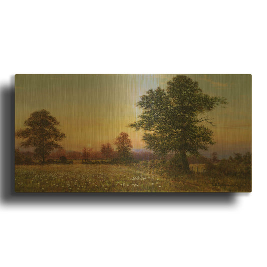 'Evening Daisies' By Bill Makinson Gold Metal Wall Art