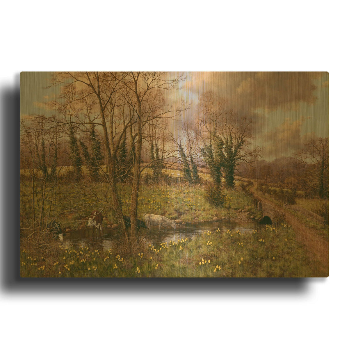 'Cattle And Daffodils' By Bill Makinson Gold Metal Wall Art