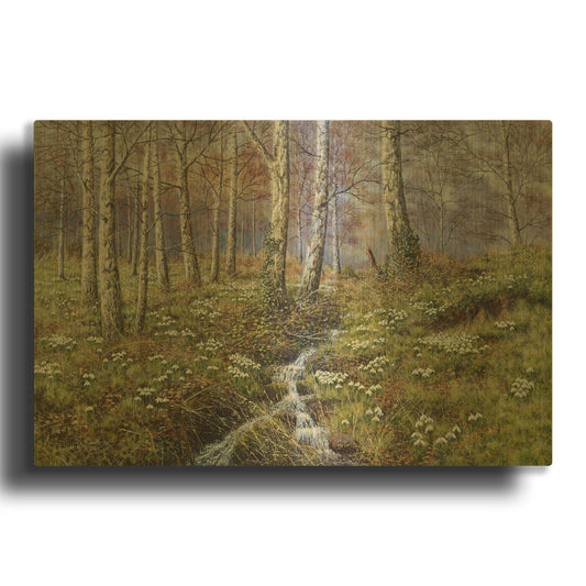 'Snowdrop Dell' By Bill Makinson Gold Metal Wall Art