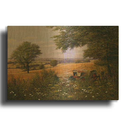 'Red Tractor' By Bill Makinson Gold Metal Wall Art