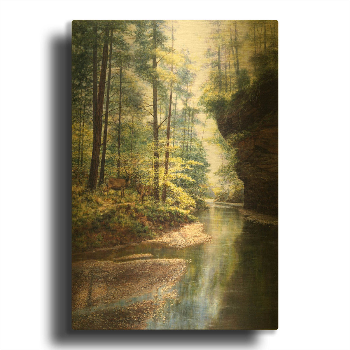 'Quiet Forest' By Bill Makinson Gold Metal Wall Art