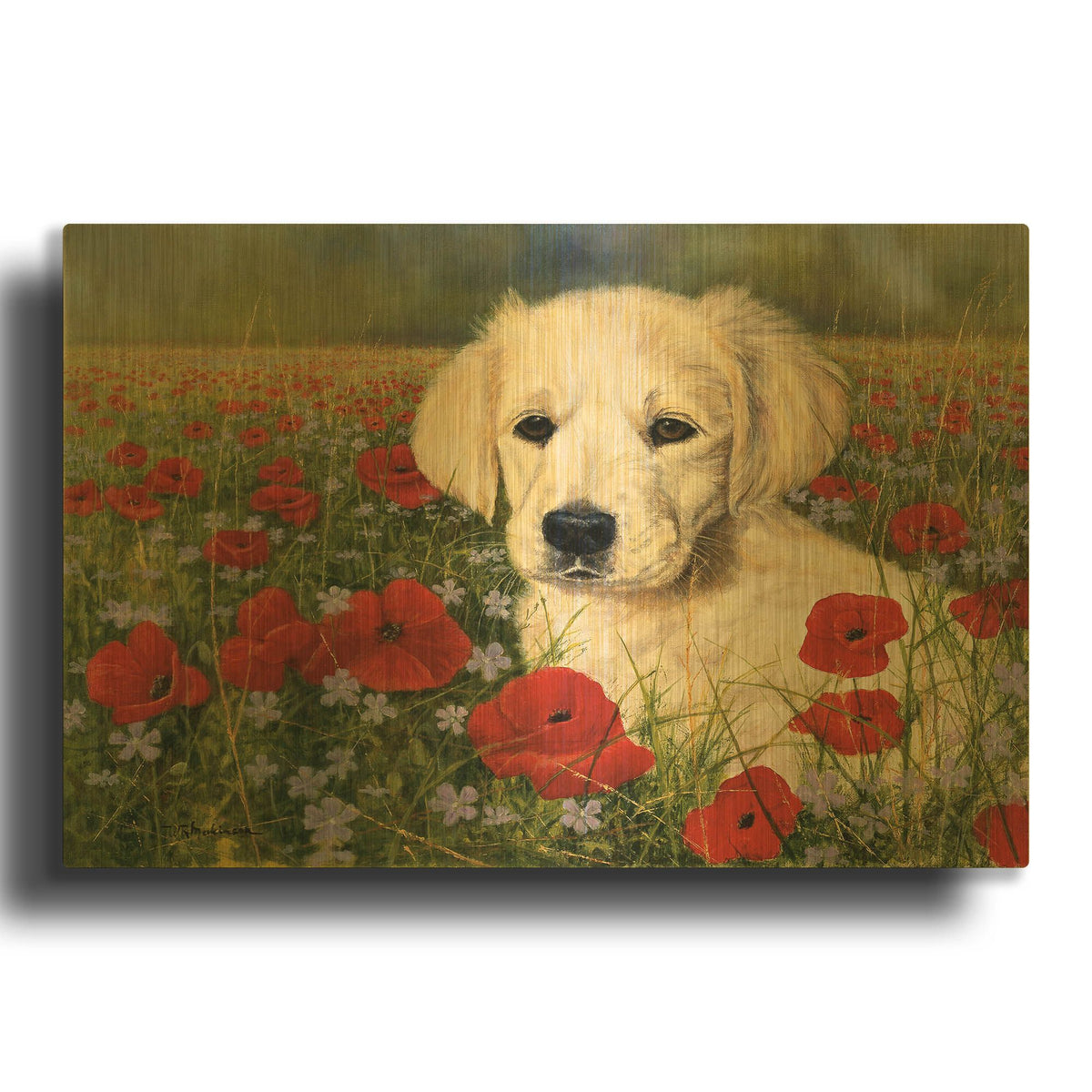 'Puppy And Poppies' By Bill Makinson Gold Metal Wall Art