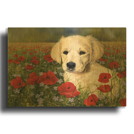 'Puppy And Poppies' By Bill Makinson Gold Metal Wall Art