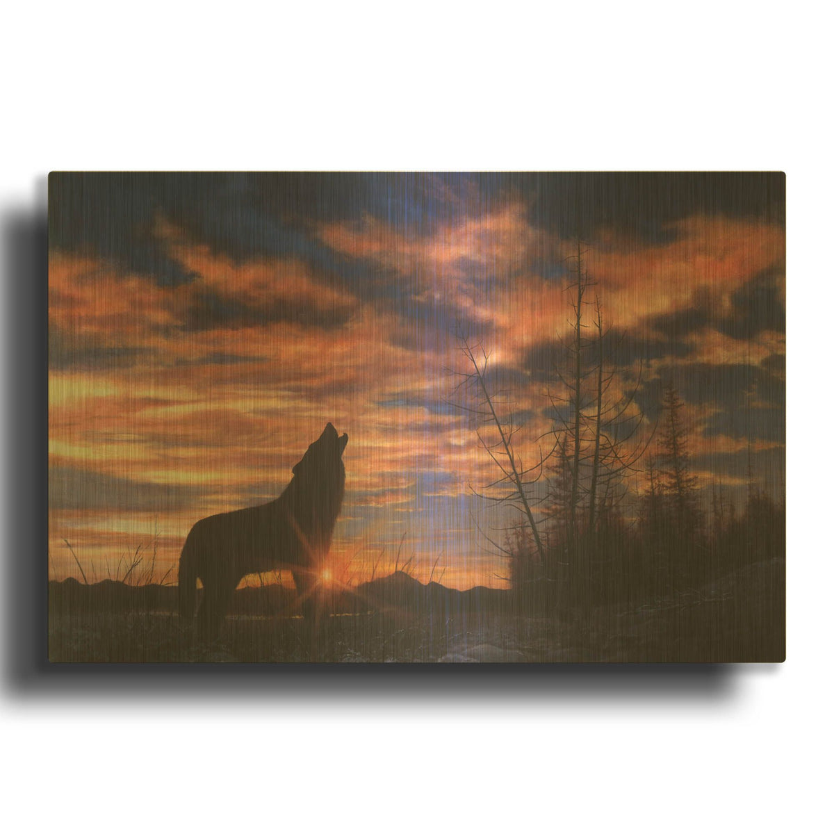 'Sky Wolf' By Bill Makinson Gold Metal Wall Art