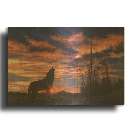 'Sky Wolf' By Bill Makinson Gold Metal Wall Art