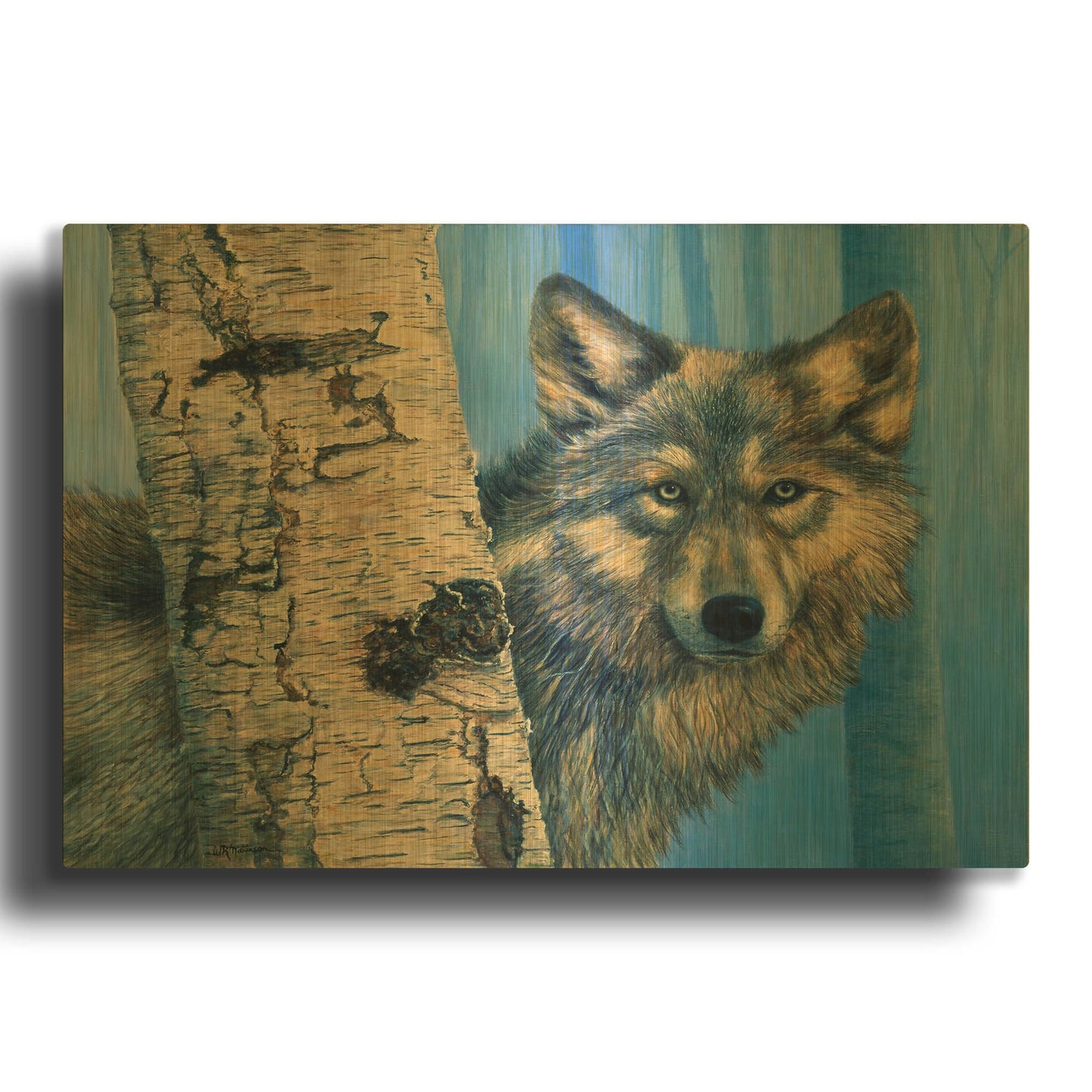 'Birch Wolf' By Bill Makinson Gold Metal Wall Art