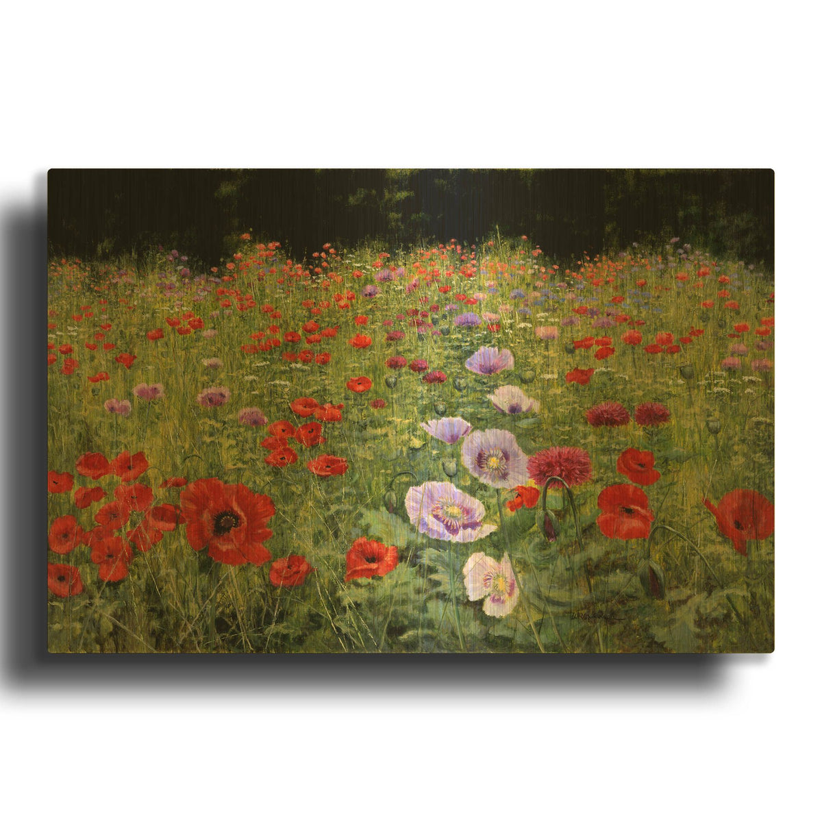 'Field Of Poppies' By Bill Makinson Gold Metal Wall Art