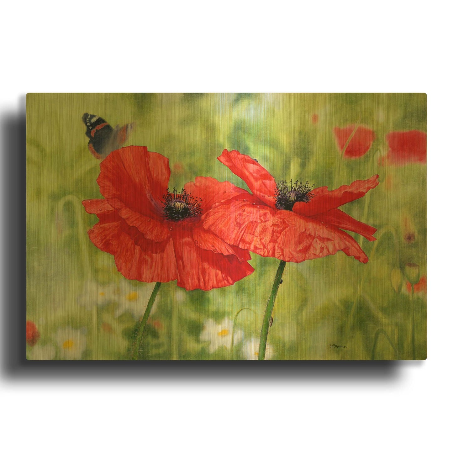 'Poppies And Butterfly' By Bill Makinson Gold Metal Wall Art