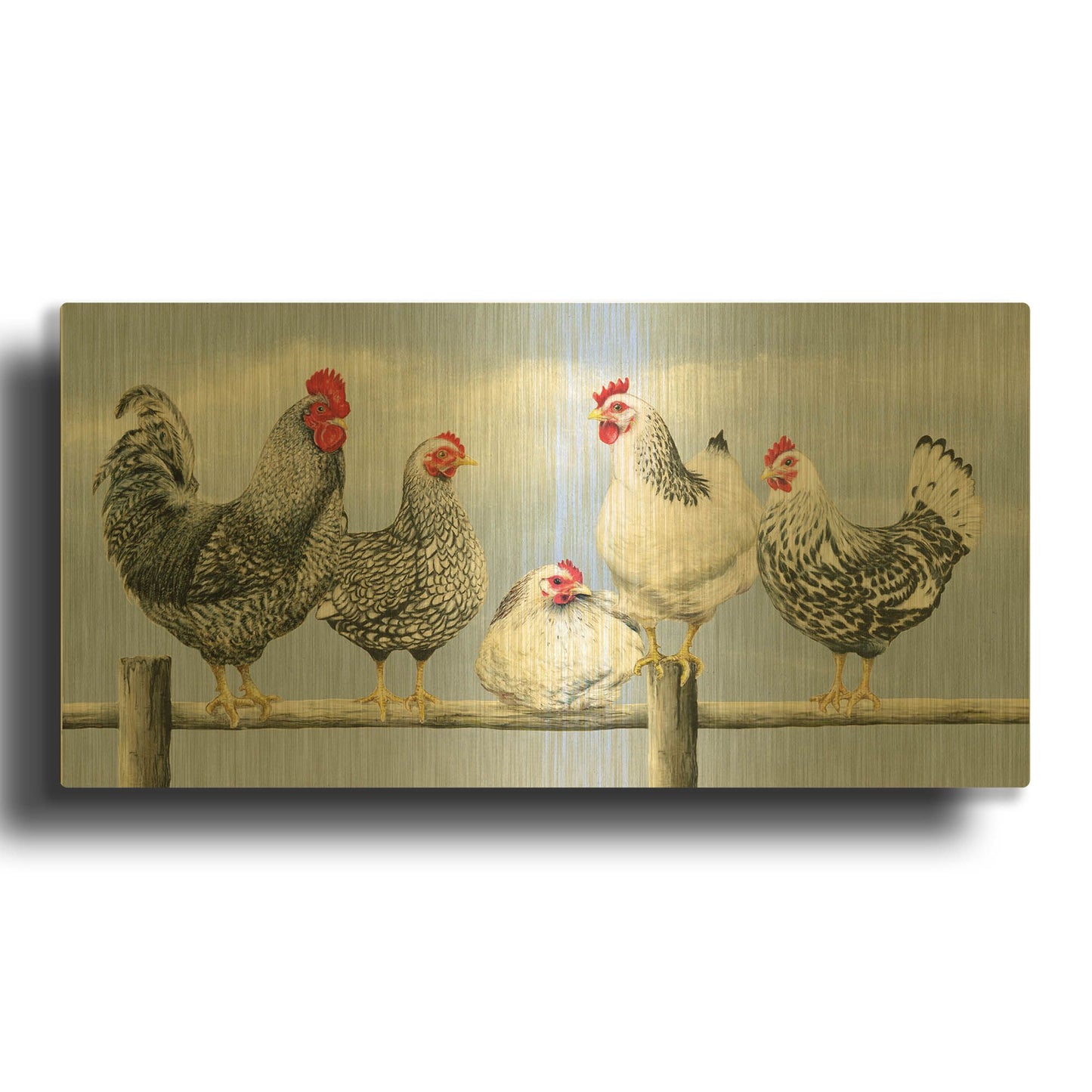 'Black & White Hens 1' By Janet Pidoux Gold Metal Wall Art
