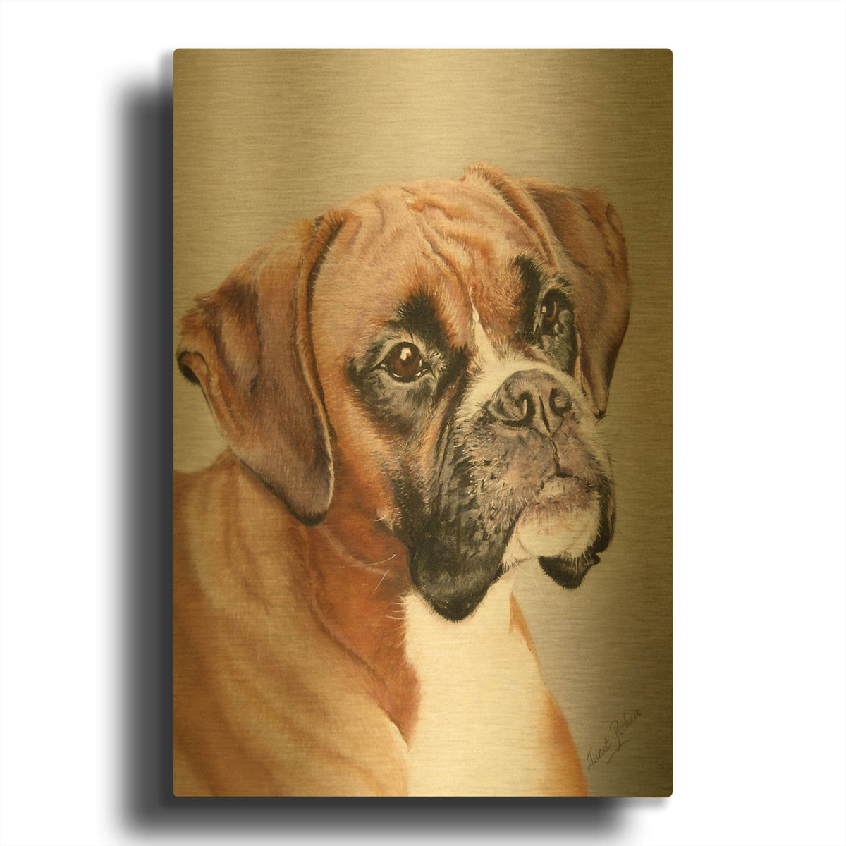 'Boxer' By Janet Pidoux Gold Metal Wall Art