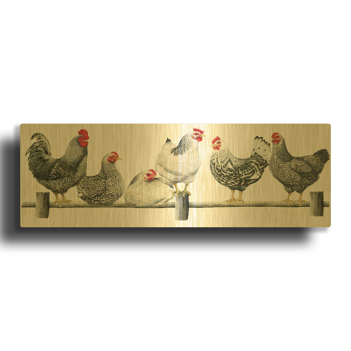 'Hens, White Background' By Janet Pidoux Gold Metal Wall Art