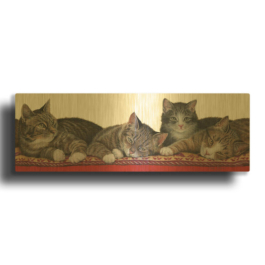 'Tabbies White Background' By Janet Pidoux Gold Metal Wall Art