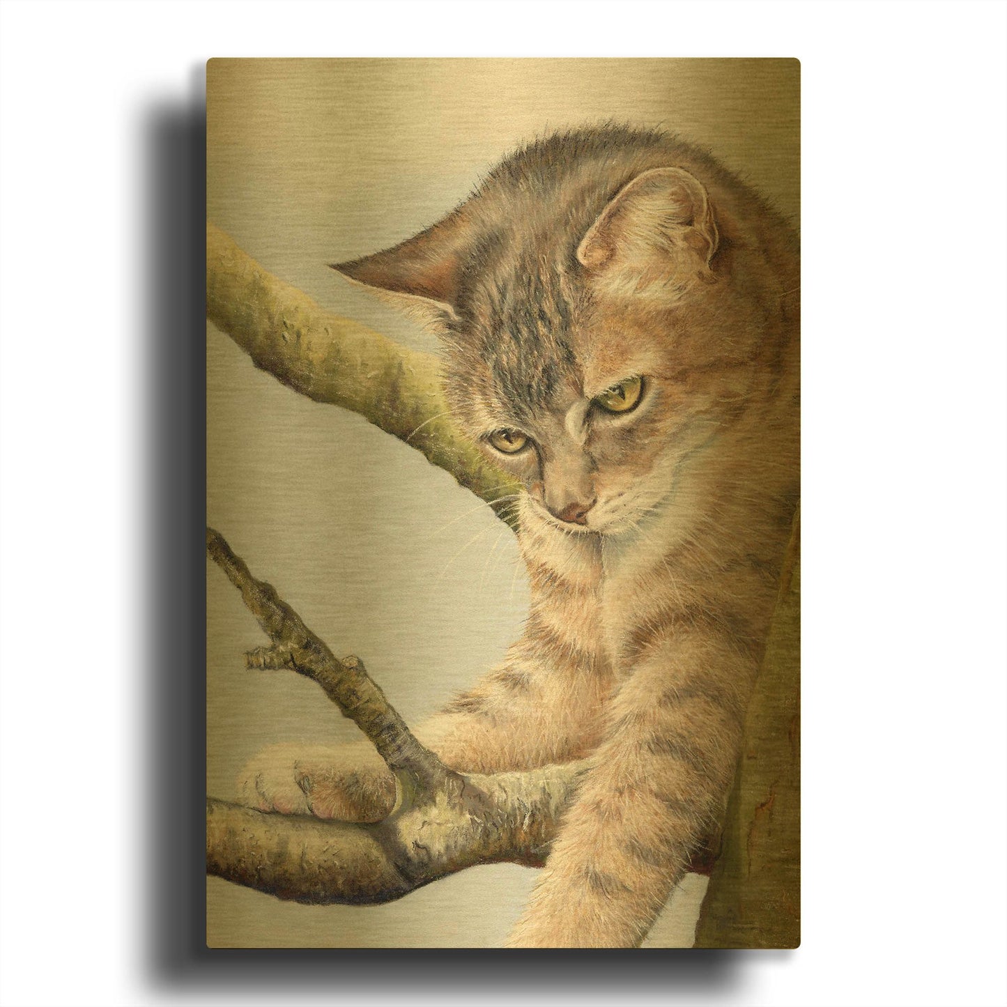'Tabby In Tree' By Janet Pidoux Gold Metal Wall Art
