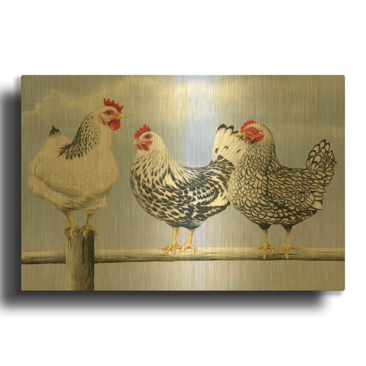 'Three Black & White Hens' By Janet Pidoux Gold Metal Wall Art