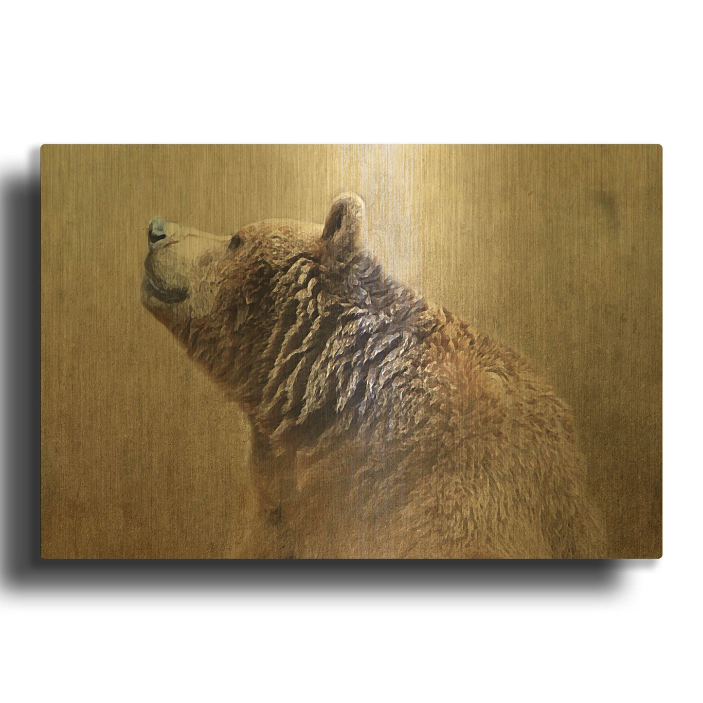 'Big Bear' By Karen Smith Gold Metal Wall Art