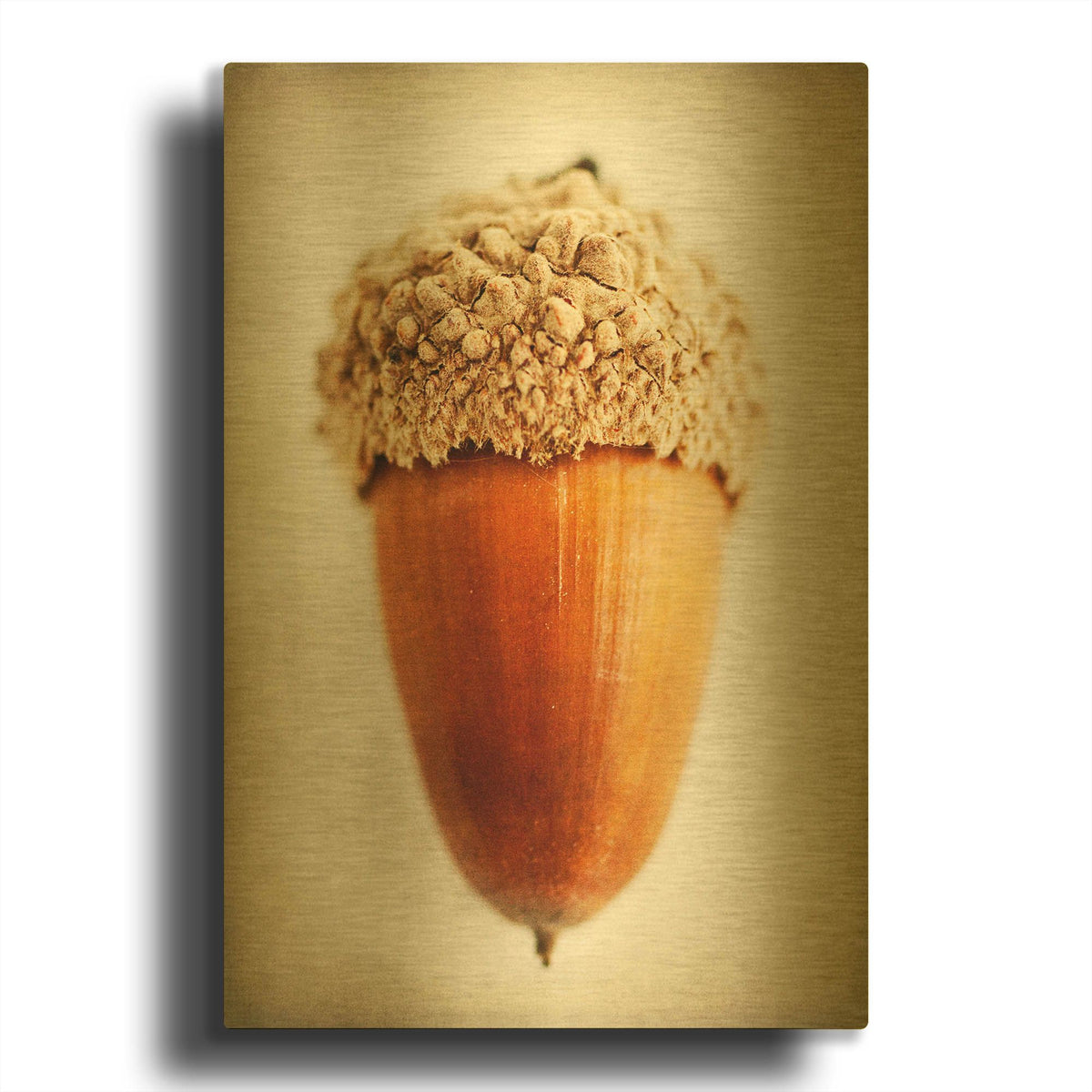 'Acorn' By Jessica Rogers Gold Metal Wall Art